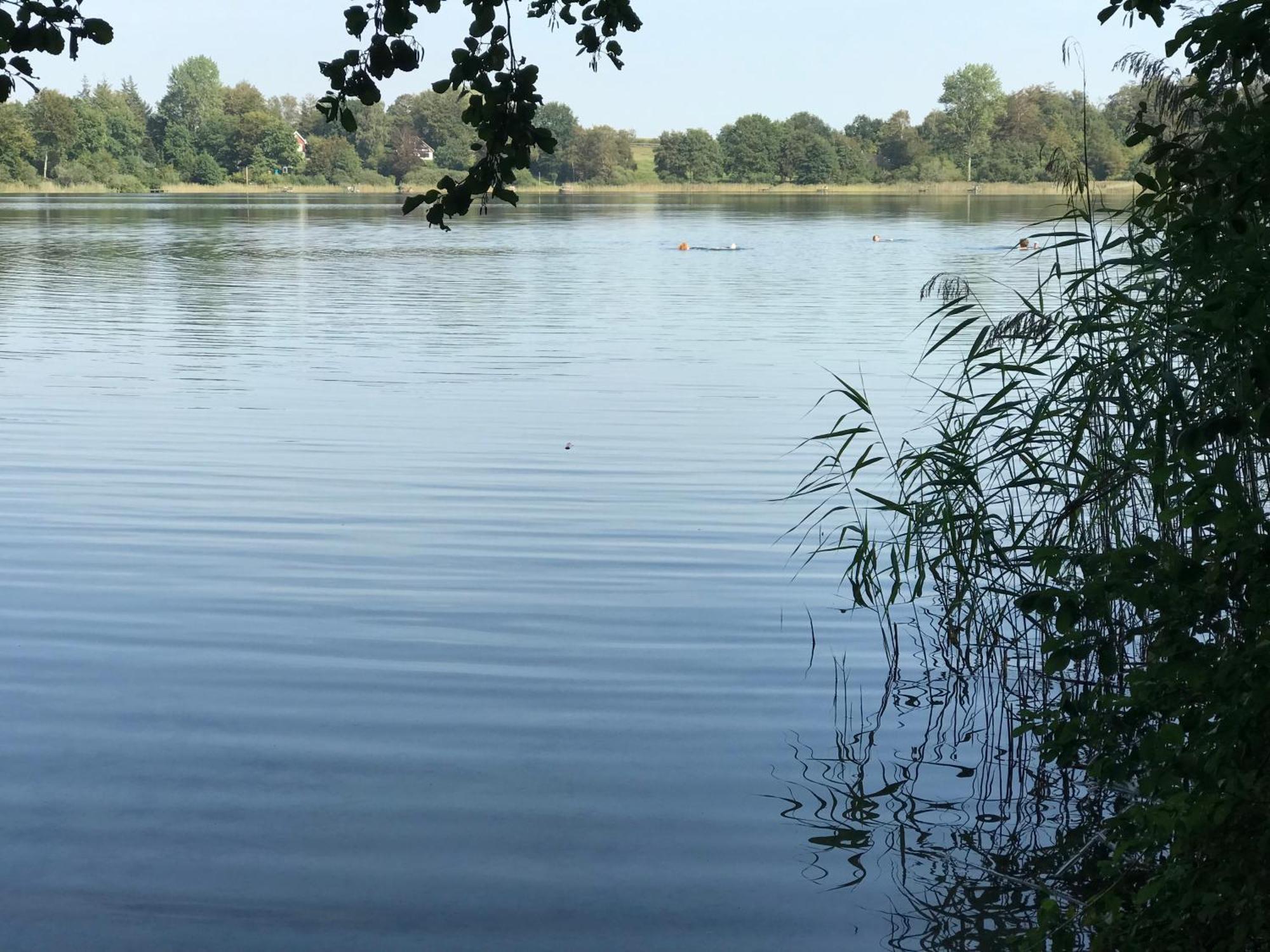 Ferienwohnung Fleckeby Schlei Fjord Light מראה חיצוני תמונה
